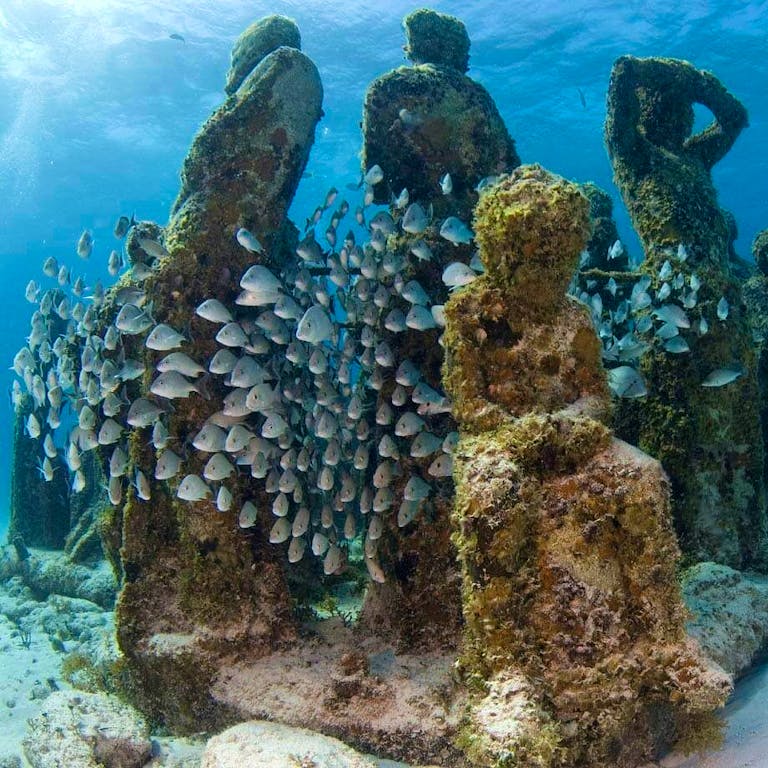 Underwater Museum Snorkeling